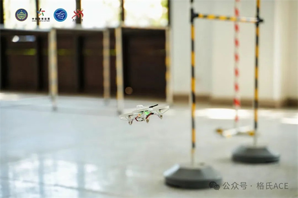 模型競賽中 模型競賽中